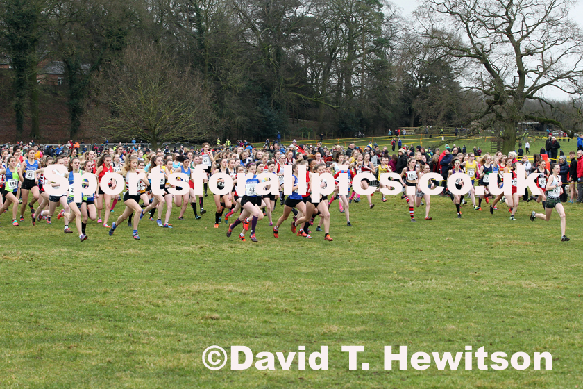 Girls under-15s Northern Cross Country Champs., Camp Hill Estate, Kirklington.  Photo: David T. Hewitson/Sports for All Pics